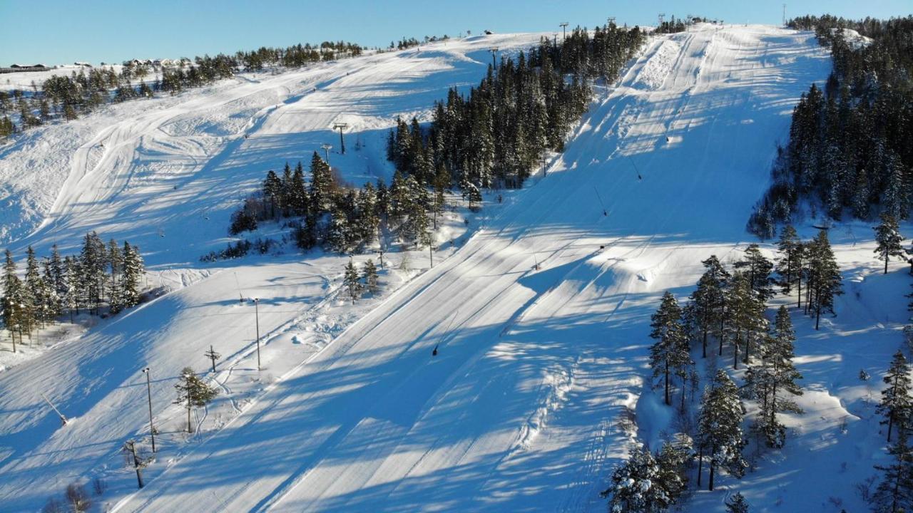 Ski Lodge Gautefall Zewnętrze zdjęcie